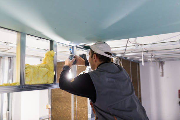 Best Eco-Friendly Insulation in Hill N Dale, FL