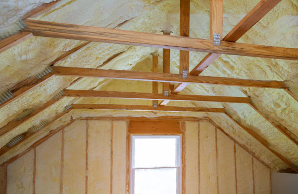 Best Insulation for Specific Applications in Hill N Dale, FL