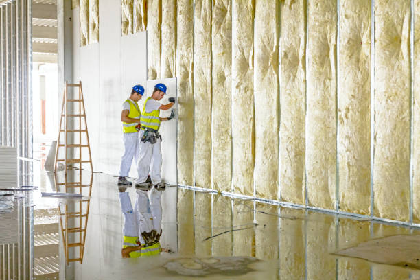 Best Energy Efficiency Insulation in Hill N Dale, FL